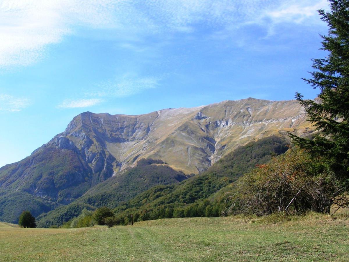 Agriturismo Le Castellare Montemonaco Zewnętrze zdjęcie