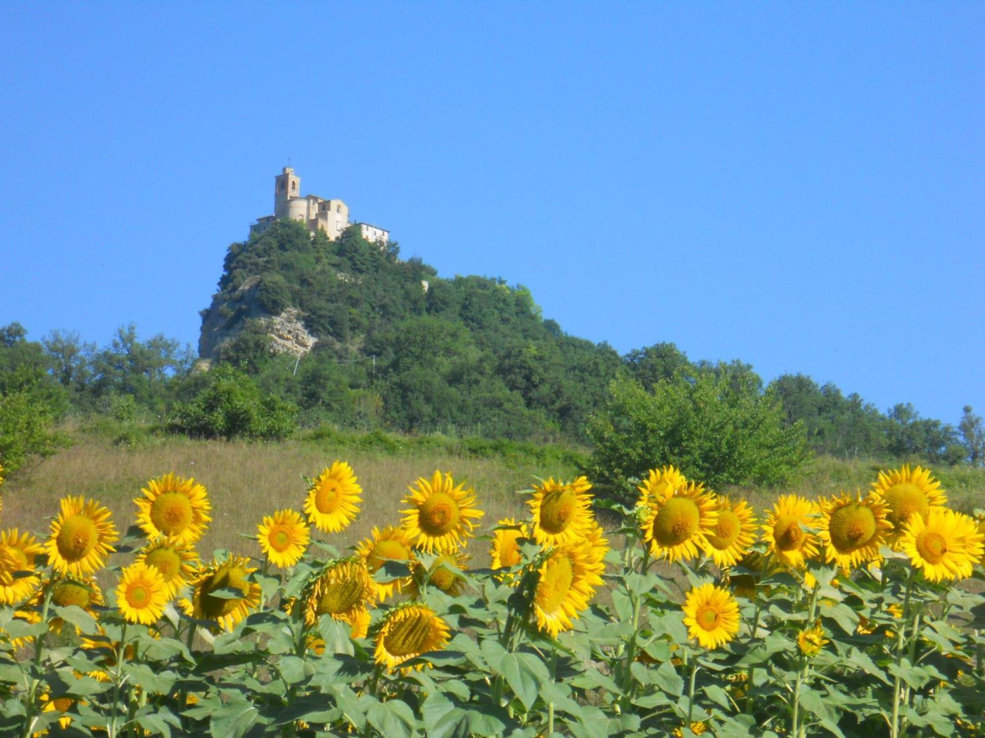 Agriturismo Le Castellare Montemonaco Zewnętrze zdjęcie