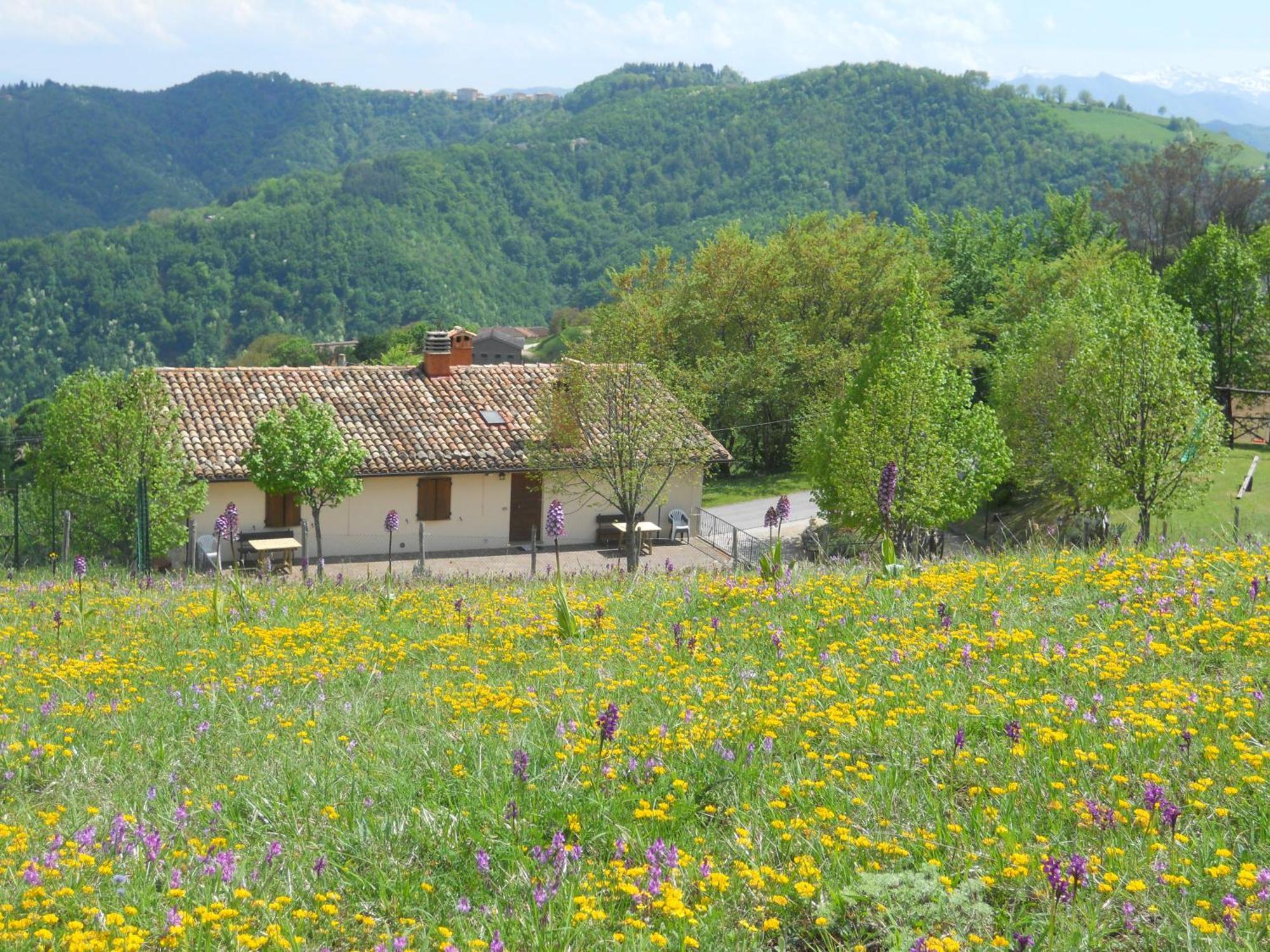 Agriturismo Le Castellare Montemonaco Zewnętrze zdjęcie