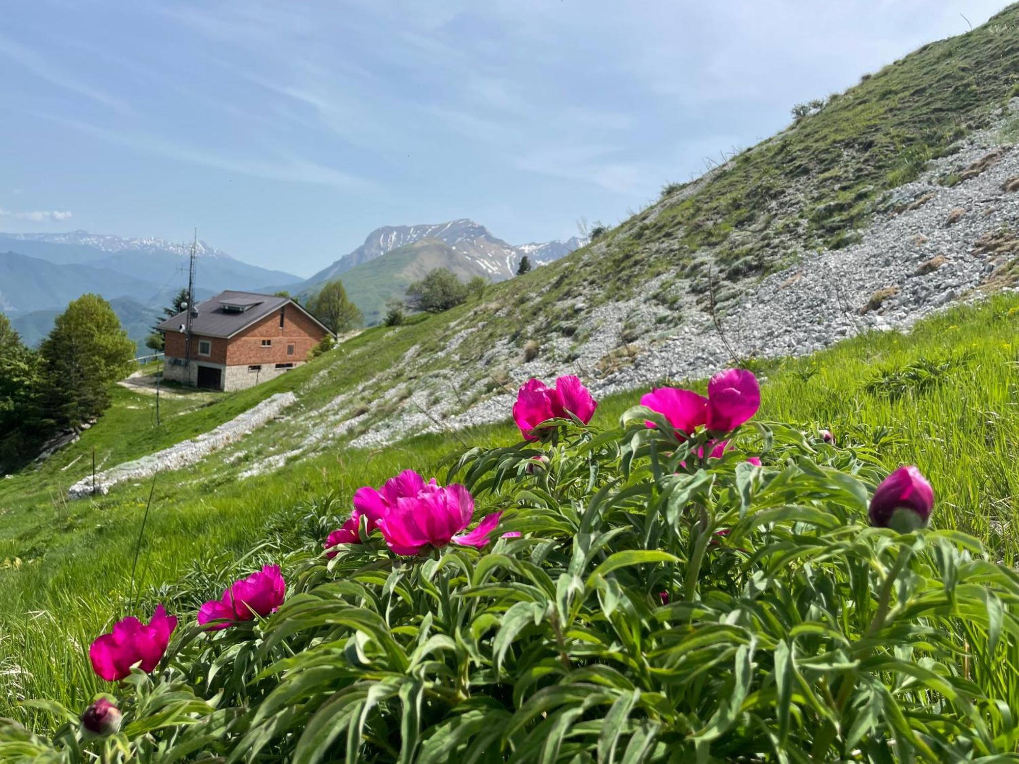 Agriturismo Le Castellare Montemonaco Zewnętrze zdjęcie
