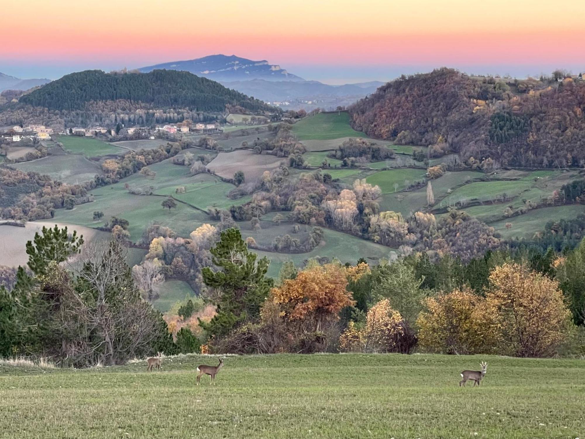 Agriturismo Le Castellare Montemonaco Zewnętrze zdjęcie