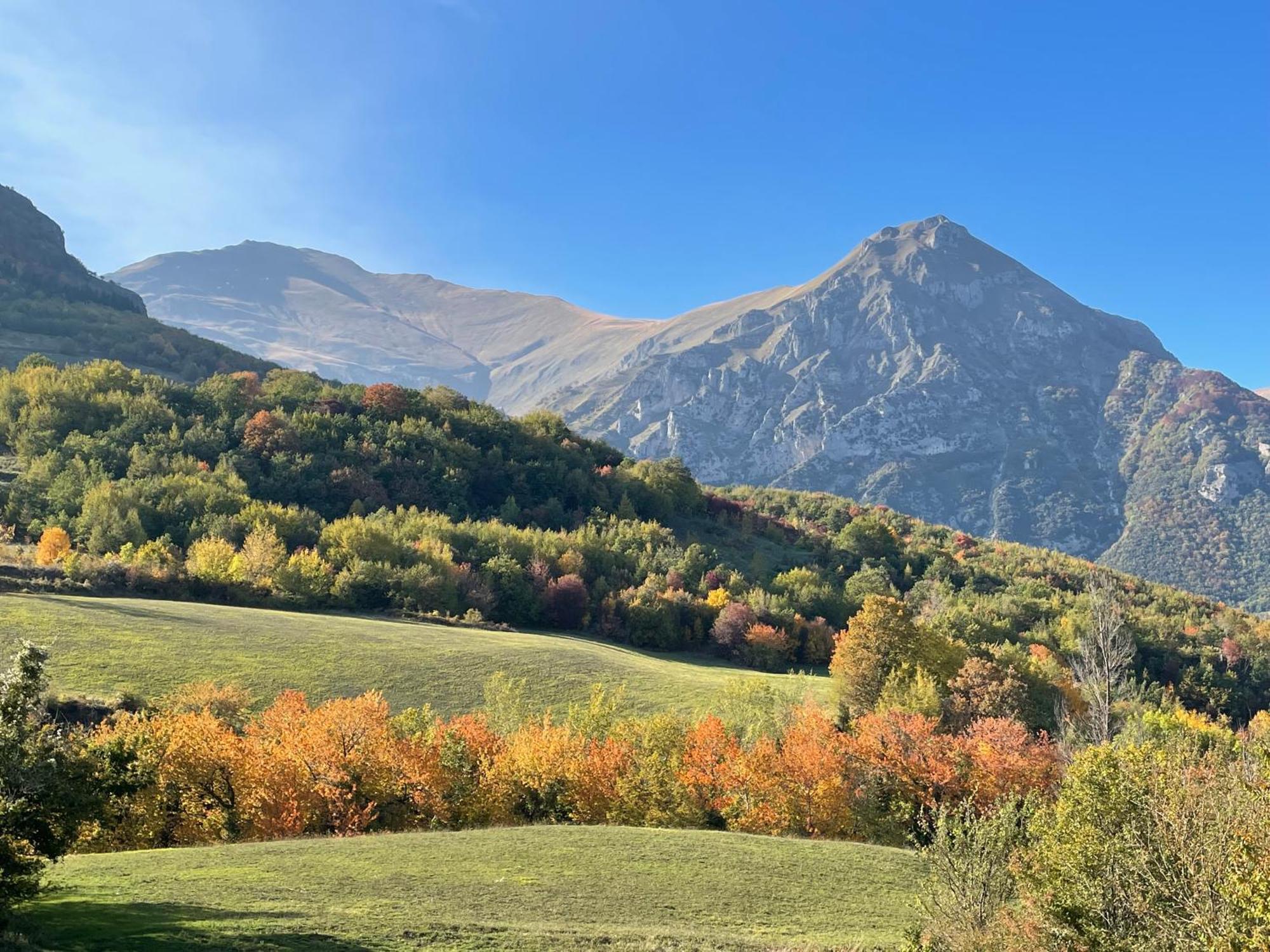 Agriturismo Le Castellare Montemonaco Zewnętrze zdjęcie