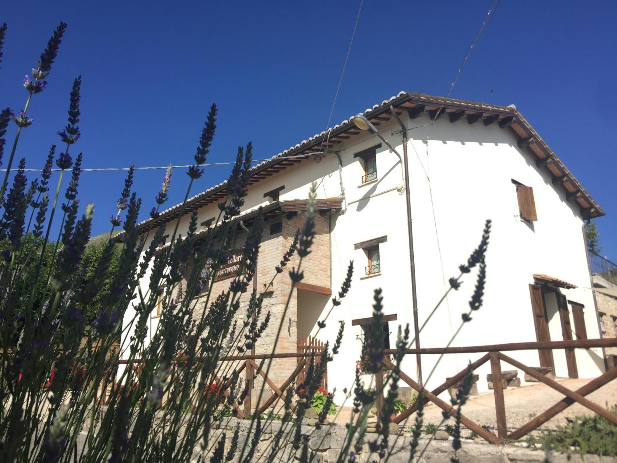 Agriturismo Le Castellare Montemonaco Zewnętrze zdjęcie