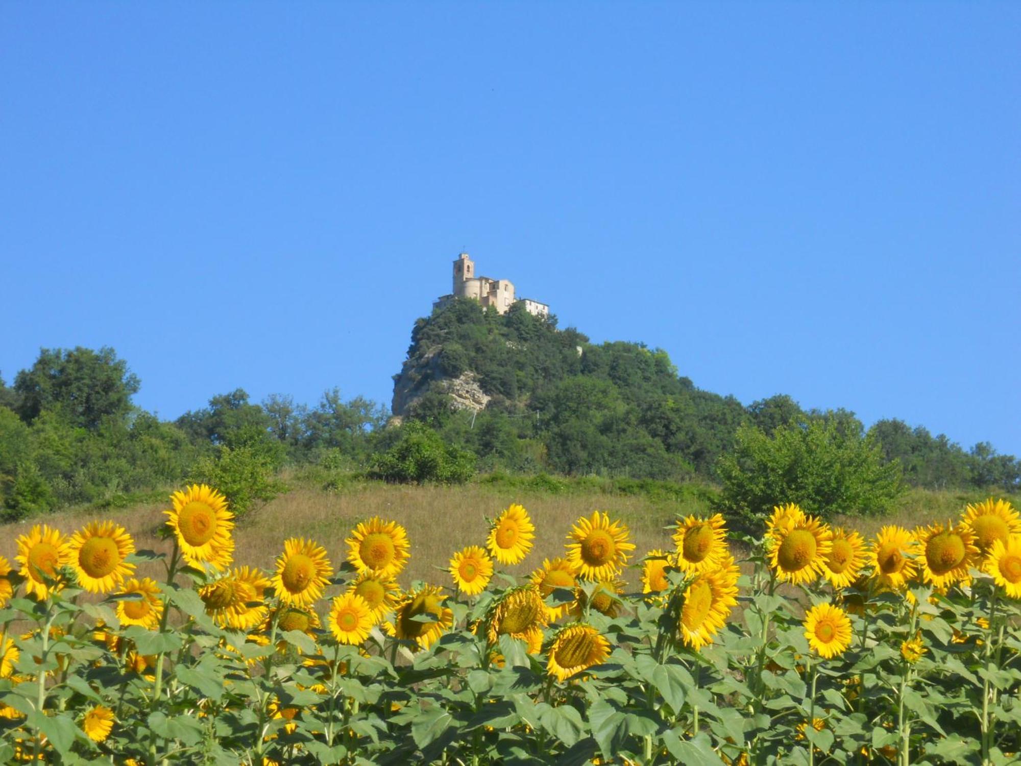 Agriturismo Le Castellare Montemonaco Zewnętrze zdjęcie